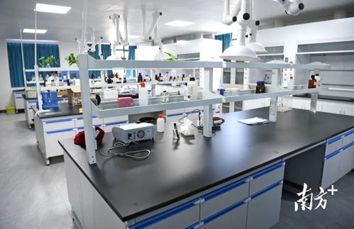 陽春市自來水廠擴(kuò)容工程即將竣工運(yùn)營，提升城市供水保障能力