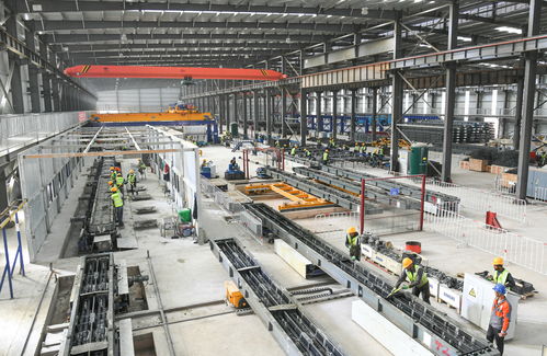 阿爾及利亞西部鐵路礦業(yè)線項目軌道工程全面啟動，打造區(qū)域經(jīng)濟新動脈